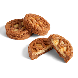 300x300px-RoomboterLuxe speculaas Pencees.png